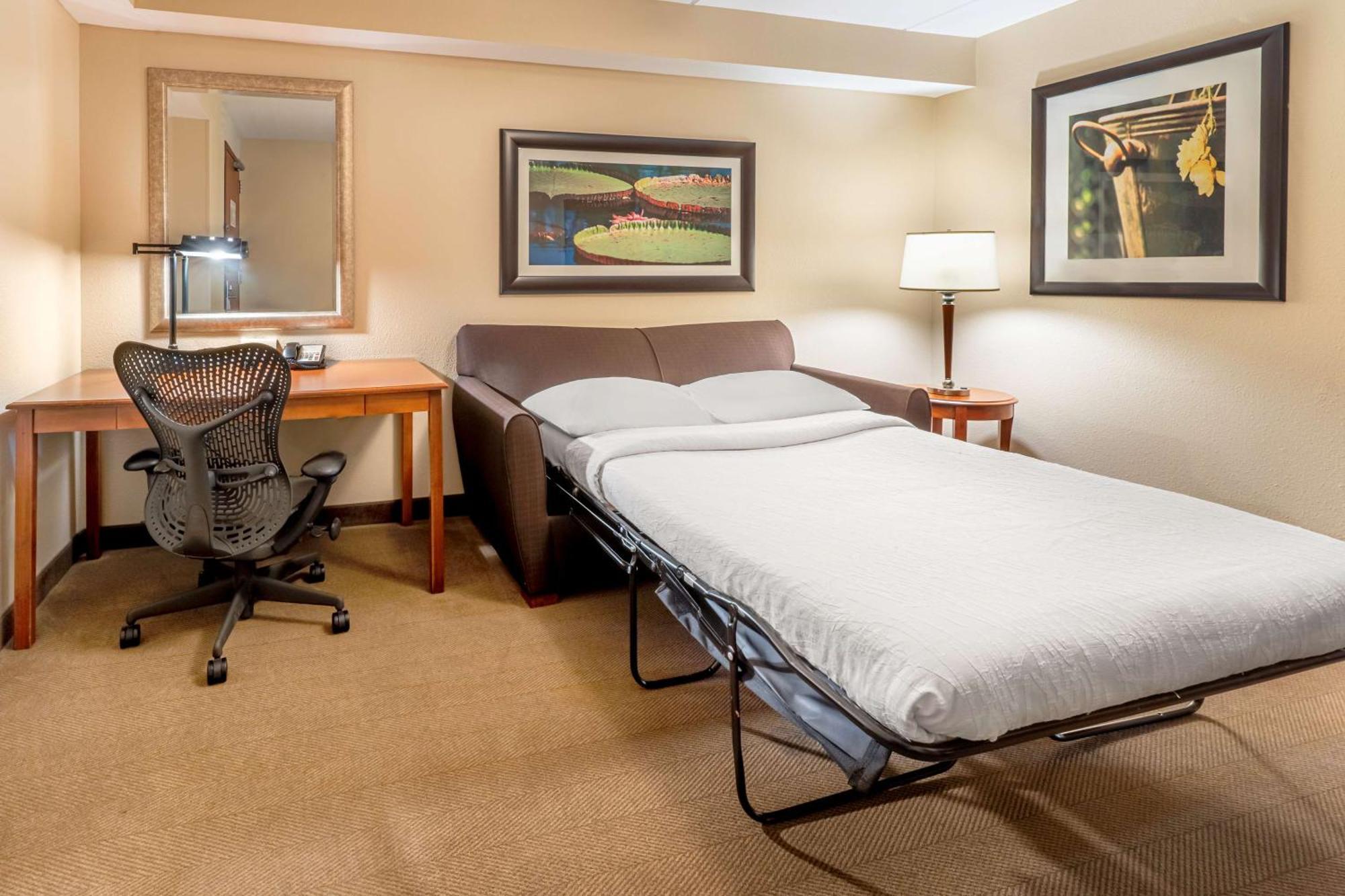 Hilton Garden Inn Houston/The Woodlands Extérieur photo