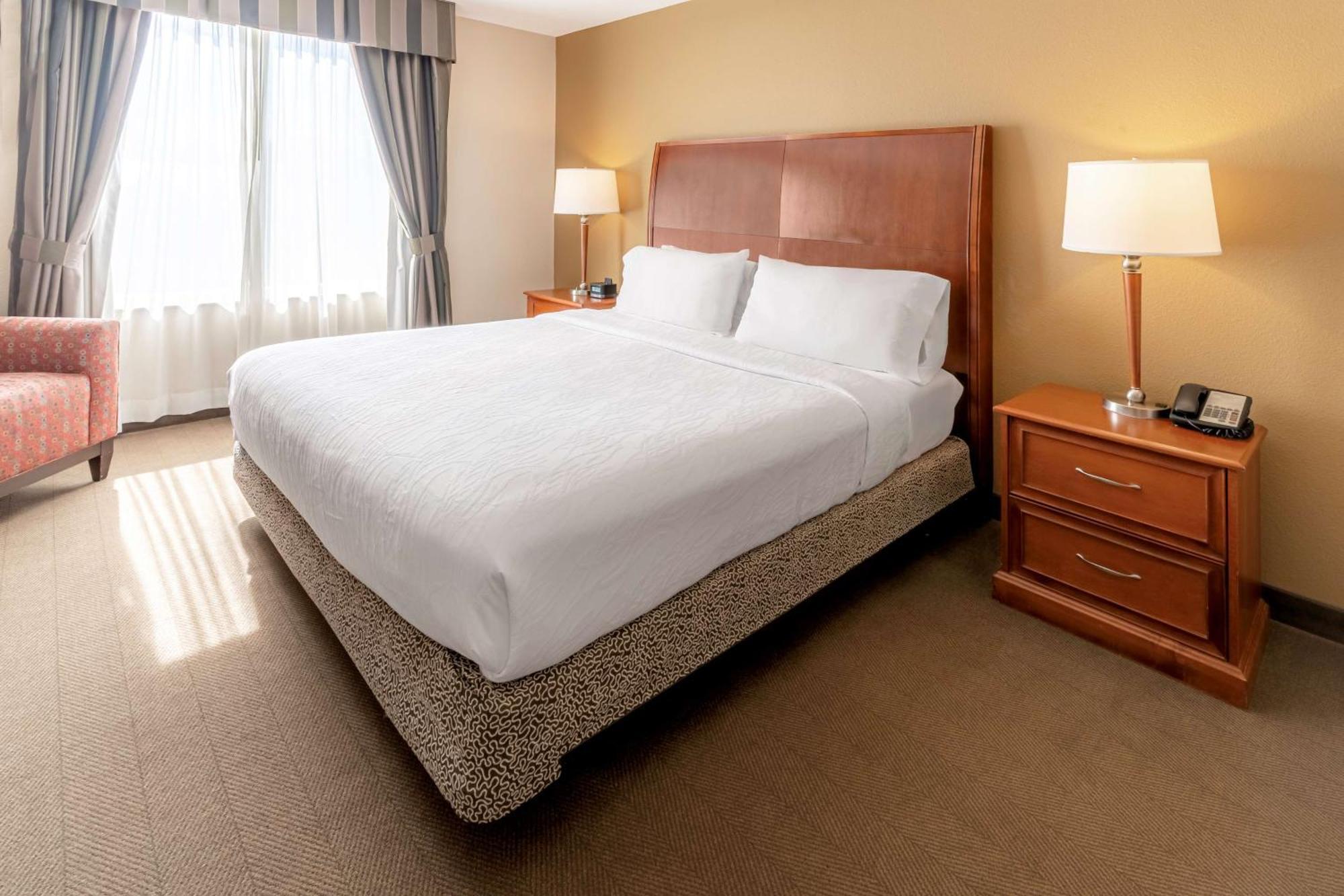 Hilton Garden Inn Houston/The Woodlands Extérieur photo